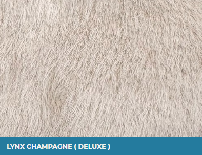Lynx Champagne (Deluxe)